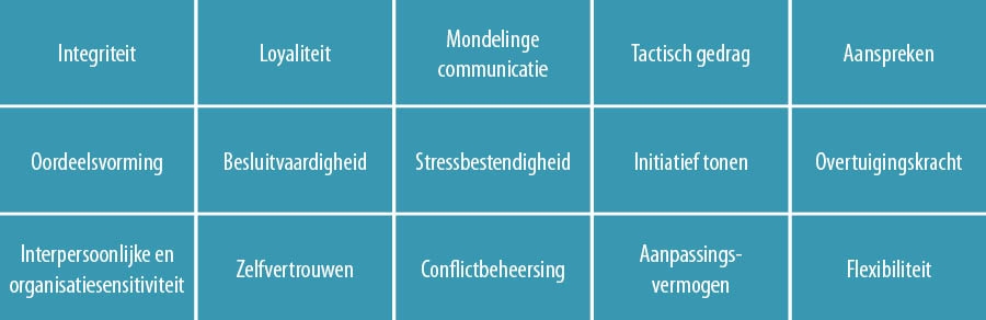 Vijftien competenties voor externe directieleden